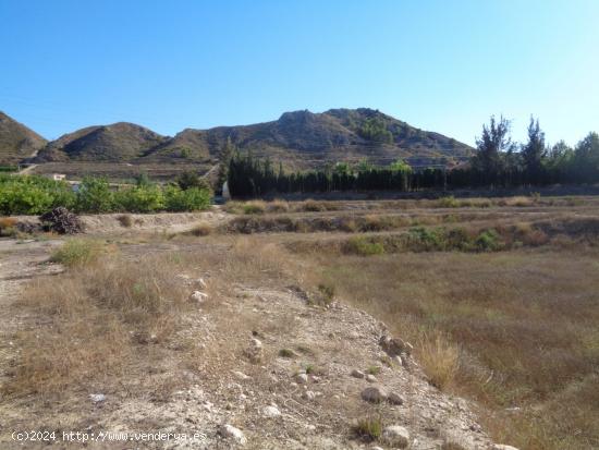 TERRENO CON CASA PARA REFORMAR - MURCIA