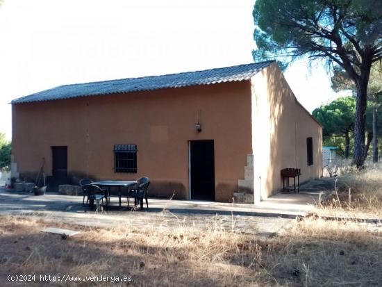 FINCA RUSTICA DE RECREO - VALLADOLID