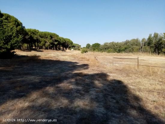 FINCA RUSTICA DE RECREO - VALLADOLID