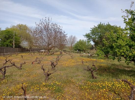 Chalet individual con parcela - VALLADOLID