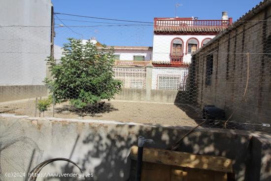 PARCELA EN LA MILAGROSA - CADIZ