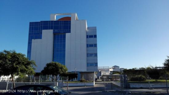 OFICINA EN EL EDIFICIO GLORIETA - CADIZ