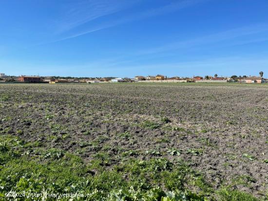  FINCA RÚSTICA ZONA DOS PALMERAS EL PUERTO DE SANTA MARÍA - CADIZ 