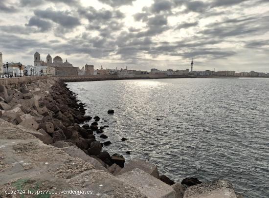  VIVIENDA EN EL CENTRO DE CADIZ PLANTA BAJA - CADIZ 