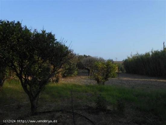  Parcela Junto al Rio Jara - CADIZ 