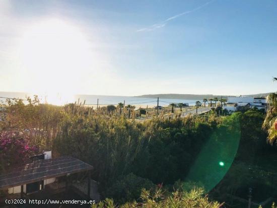 Apartamentos espectaculares en Bolonia - CADIZ