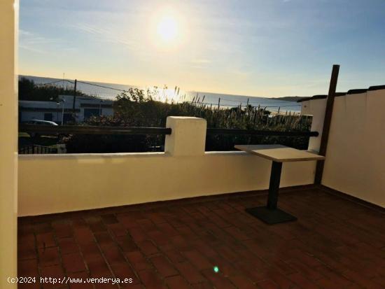 Apartamentos espectaculares en Bolonia - CADIZ