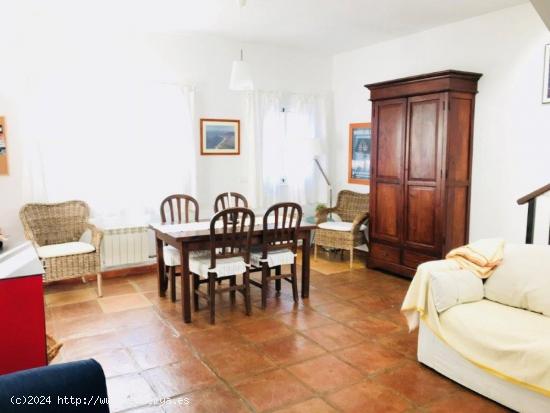 Apartamentos espectaculares en Bolonia - CADIZ