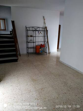 Se vende edificio con muchas posibilidades - CADIZ