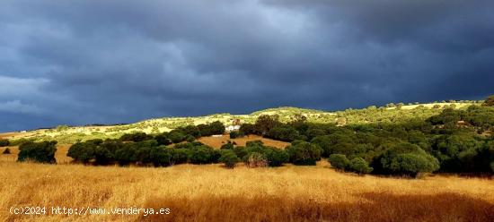 Se vende propiedad única en el campo - CADIZ