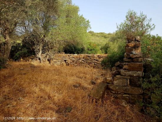 Se vende propiedad única en el campo - CADIZ