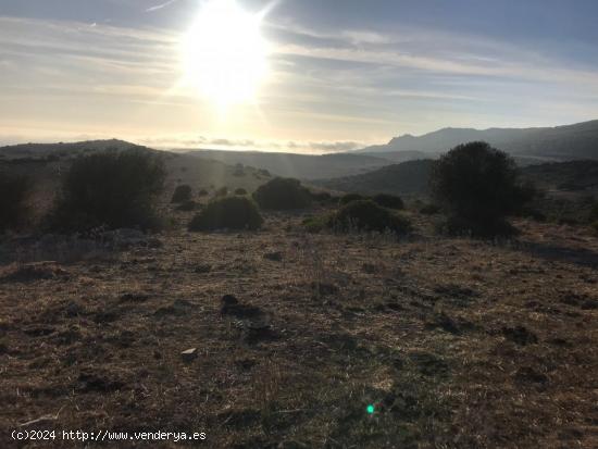 Se vende parcela en Bolonia - CADIZ