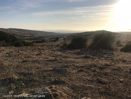 Se vende parcela en Bolonia - CADIZ