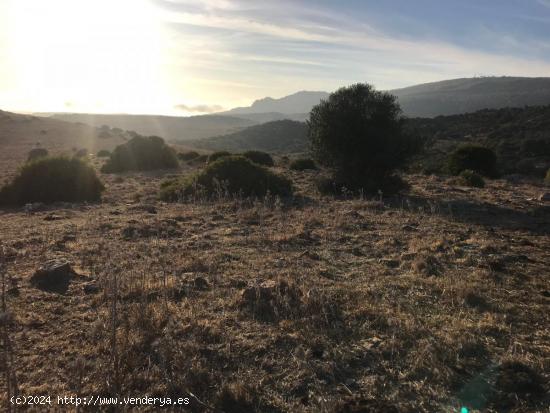 Se vende parcela en Bolonia - CADIZ