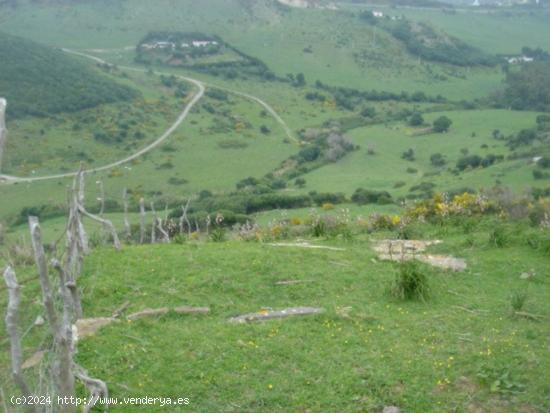 Se vende finca ceca de Tarifa - CADIZ