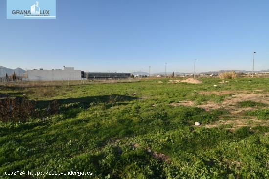 en venta parcela industrial en Cortijo del Conde - GRANADA