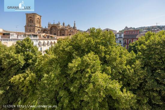  A LA VENTA EDIFICIO EN PLAZA BIB-RAMBLA - GRANADA 