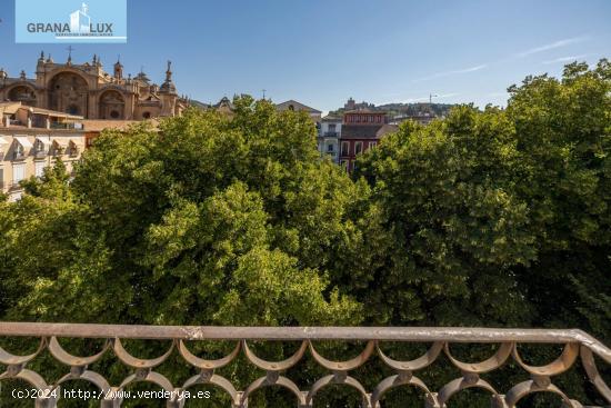 A LA VENTA EDIFICIO EN PLAZA BIB-RAMBLA - GRANADA