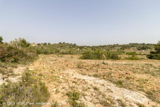  PARCELA ECONÓMICA EN MONSERRAT, EN LA URBANIZACIÓN COLINAS VENTA CABRERA. - VALENCIA 