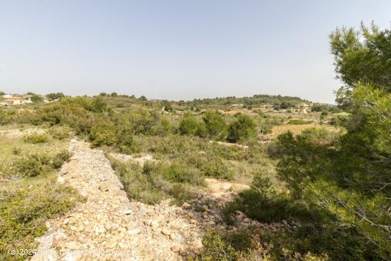 PARCELA ECONÓMICA EN MONSERRAT, EN LA URBANIZACIÓN COLINAS VENTA CABRERA. - VALENCIA