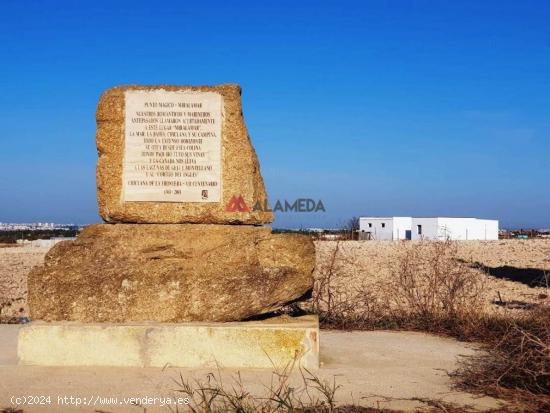  Parcela segregada de 3.353 m2 en Miralamar - CADIZ 