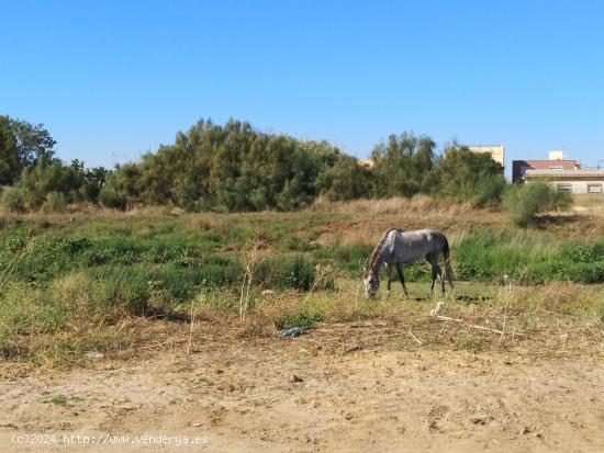  Se Vende en Sanlucar de Barrameda - CADIZ 