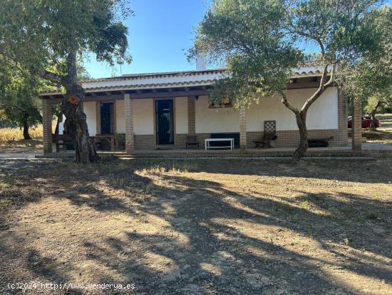 ¡Descubre tu paraíso en el corazón de la naturaleza! 🏡🌳, Alcalá de los Gazules - CADIZ