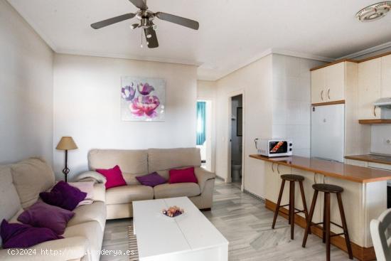 ESTUPENDO APARTAMENTO EN PINAR DEL ATLÁNTICO, C/. LA MORENA Nº 86. (CON WIFI). - CADIZ