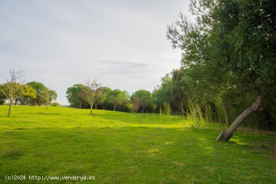  Parcela en club de golf San Roque - CADIZ 