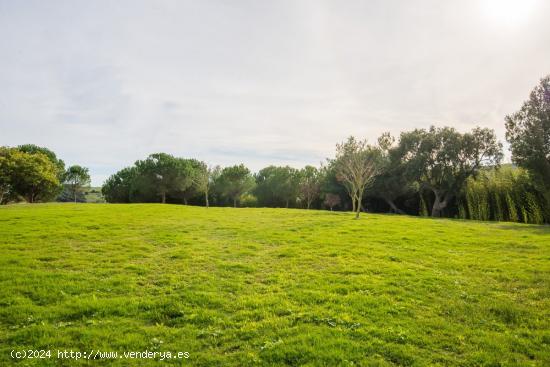 Parcela en club de golf San Roque - CADIZ