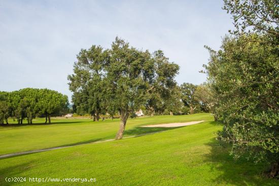 Parcela en club de golf San Roque - CADIZ