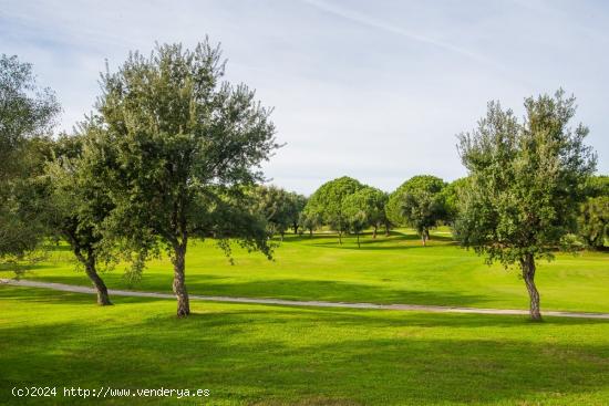 Parcela en club de golf San Roque - CADIZ