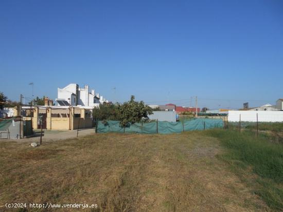  OPORTUNIDAD DE PARCELA EN SANLUCAR DE BARRAMEDA - CADIZ 