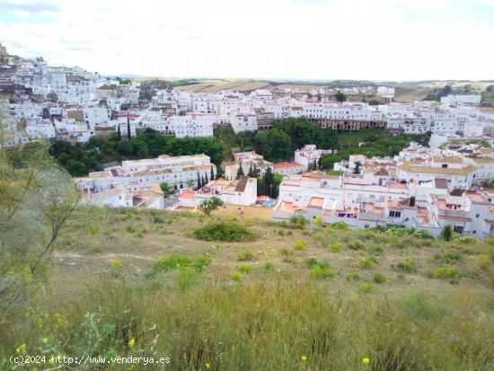  TERRENO URBANO NO URBANIZABLE EN ARCOS DE LA FRONTERA - CADIZ 