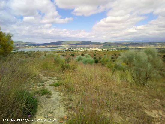 TERRENO URBANO NO URBANIZABLE EN ARCOS DE LA FRONTERA - CADIZ