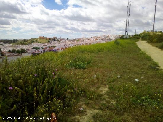 TERRENO URBANO NO URBANIZABLE EN ARCOS DE LA FRONTERA - CADIZ