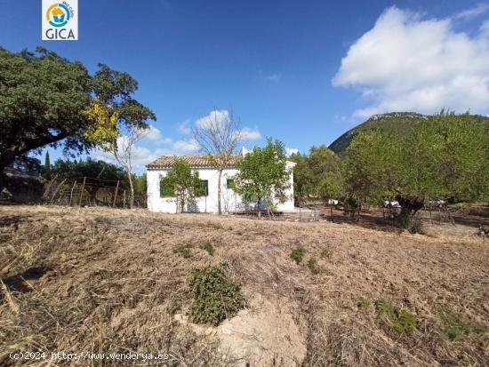  CASA CON PARCELA  EN LA SIERRA DE CADIZ -EL BOSQUE - CADIZ 