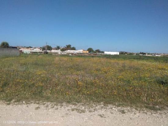  PARCELA RUSTICA EN CAÑADA DEL VERDUGO - CADIZ 