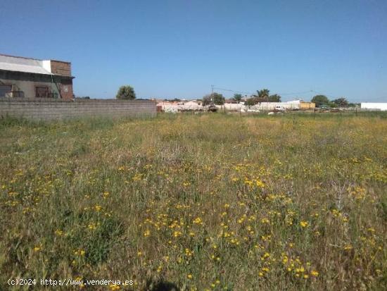 PARCELA RUSTICA EN CAÑADA DEL VERDUGO - CADIZ