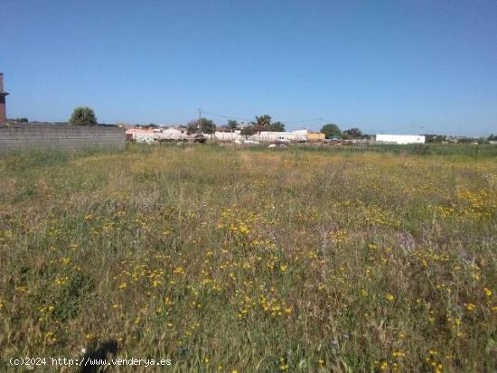 PARCELA RUSTICA EN CAÑADA DEL VERDUGO - CADIZ