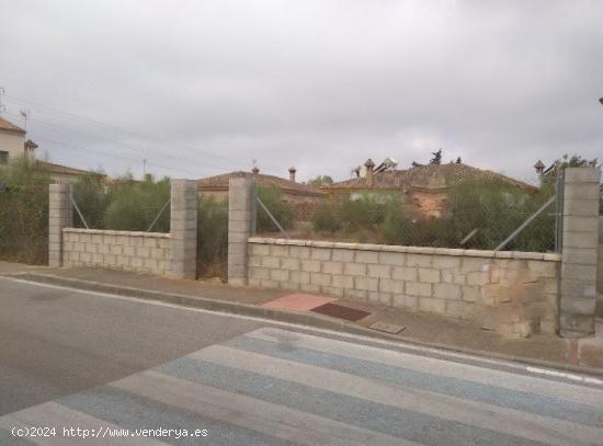 PARCELA RUSTICA EN VENTA EN EL ALMENDRAL - CADIZ