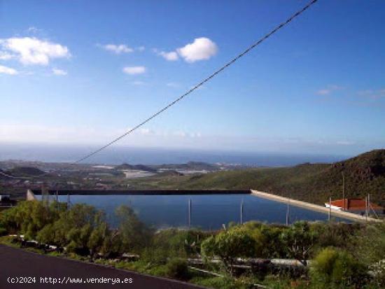 VENTA FINCA EN SAN MIGUEL DE ABONA - SANTA CRUZ DE TENERIFE