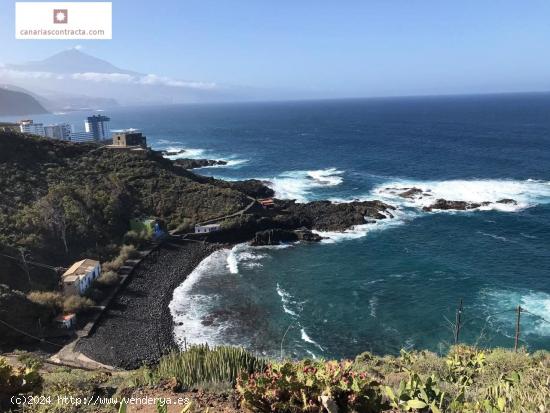 Terreno en El Pris- Tacoronte - SANTA CRUZ DE TENERIFE