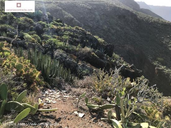 Terreno en El Pris- Tacoronte - SANTA CRUZ DE TENERIFE