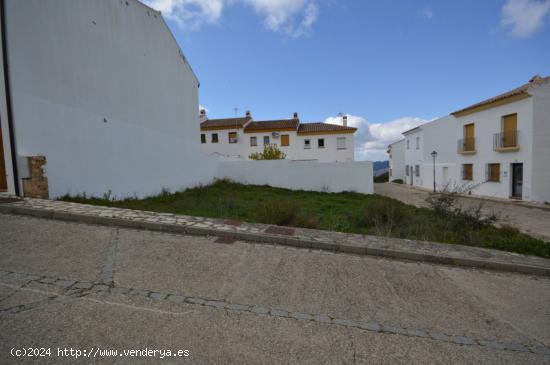 PARCELA URBANIZABLE EN BENAOCAZ - CADIZ