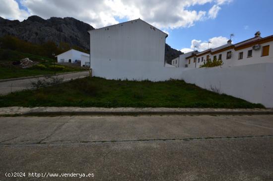 PARCELA EN BENAOCAZ - CADIZ