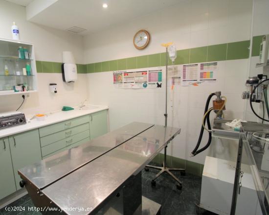  Clinica veterinaria en venta - VALENCIA 