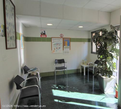 Clinica veterinaria en venta - VALENCIA