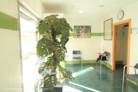 Clinica veterinaria en venta - VALENCIA