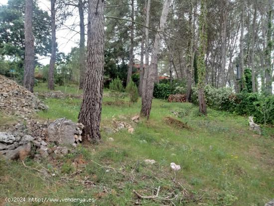 PARCELA URBANA EN  OLESA DE BONESVALLS - BARCELONA